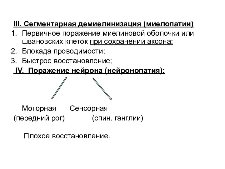 III. Сегментарная демиелинизация (миелопатии) Первичное поражение миелиновой оболочки или швановских клеток