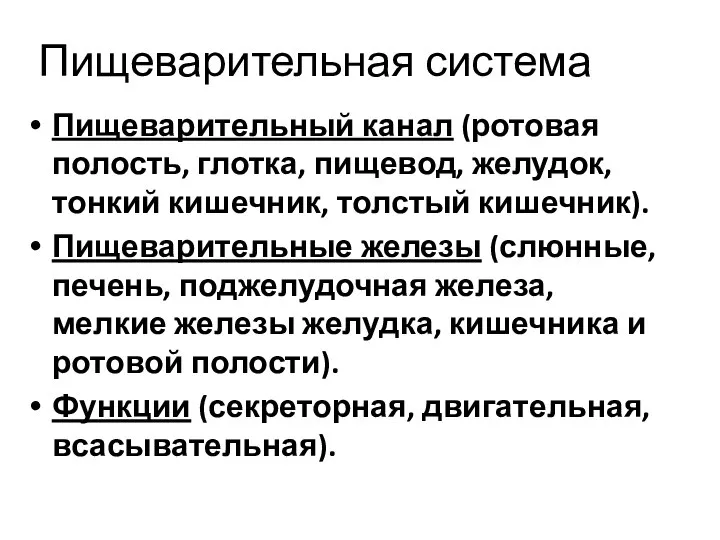 Пищеварительная система Пищеварительный канал (ротовая полость, глотка, пищевод, желудок, тонкий кишечник,