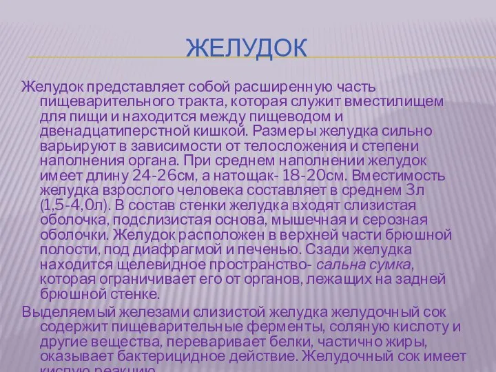 Желудок Желудок представляет собой расширенную часть пищеварительного тракта, которая служит вместилищем