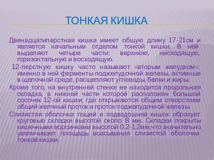 Тонкая кишка Двенадцатиперстная кишка имеет общую длину 17-21см и является начальным