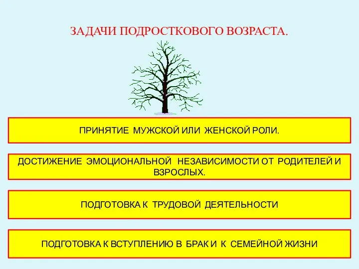 ЗАДАЧИ ПОДРОСТКОВОГО ВОЗРАСТА. ПРИНЯТИЕ МУЖСКОЙ ИЛИ ЖЕНСКОЙ РОЛИ. ДОСТИЖЕНИЕ ЭМОЦИОНАЛЬНОЙ НЕЗАВИСИМОСТИ