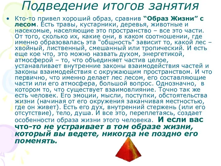 Подведение итогов занятия Кто-то привел хороший образ, сравнив “Образ Жизни” с