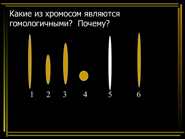 Какие из хромосом являются гомологичными? Почему? 1 2 3 4 5 6