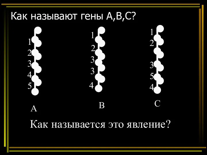 Как называют гены А,В,С? А В С 1 2 3 4