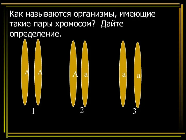 Как называются организмы, имеющие такие пары хромосом? Дайте определение. А А