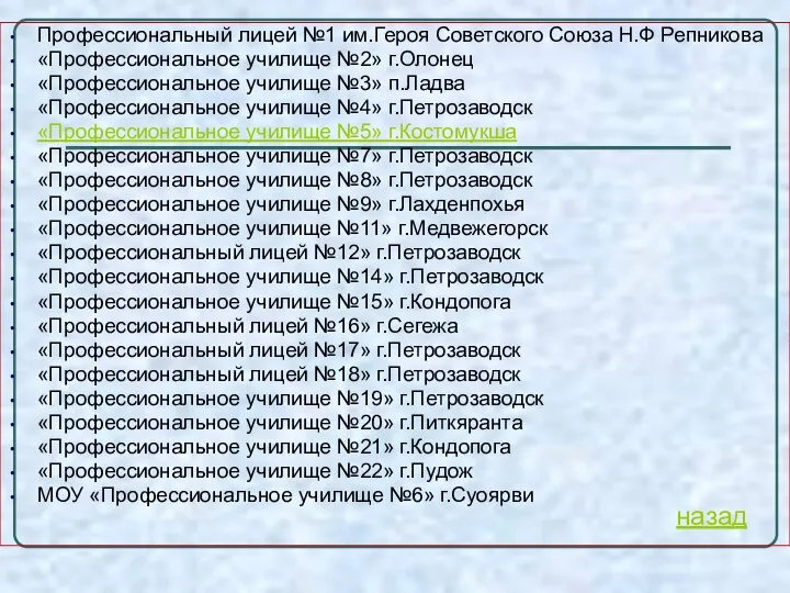 Профессиональный лицей №1 им.Героя Советского Союза Н.Ф Репникова «Профессиональное училище №2»