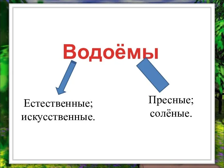 Естественные; искусственные. Водоёмы Пресные; солёные.