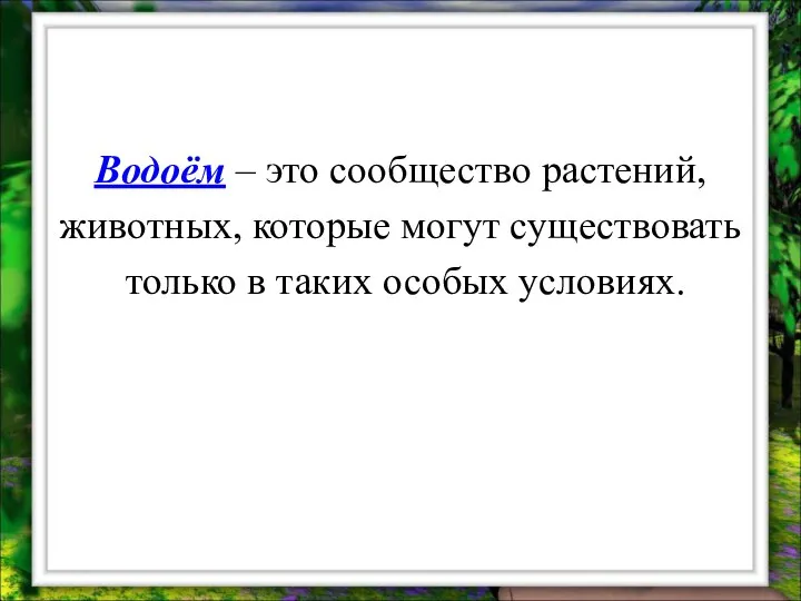 Водоём – это сообщество растений, животных, которые могут существовать только в таких особых условиях.