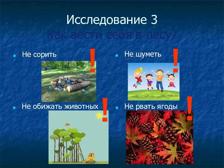 Исследование 3 Как вести себя в лесу? Не сорить Не шуметь