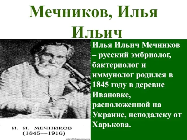 Мечников, Илья Ильич Илья Ильич Мечников – русский эмбриолог, бактериолог и