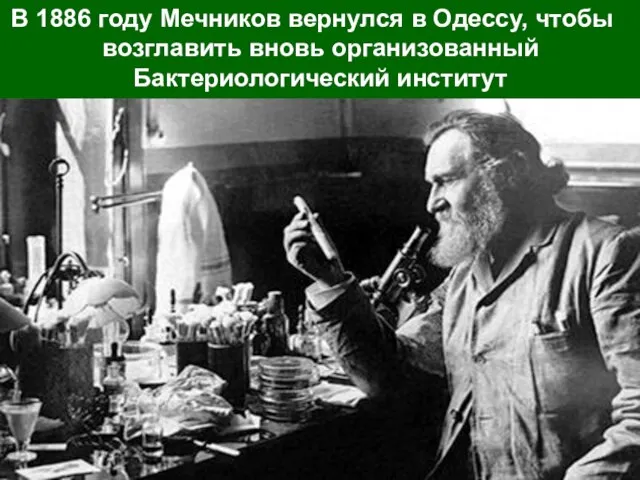 В 1886 году Мечников вернулся в Одессу, чтобы возглавить вновь организованный Бактериологический институт