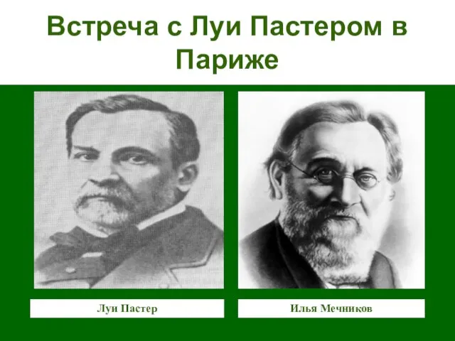 Встреча с Луи Пастером в Париже Луи Пастер Илья Мечников