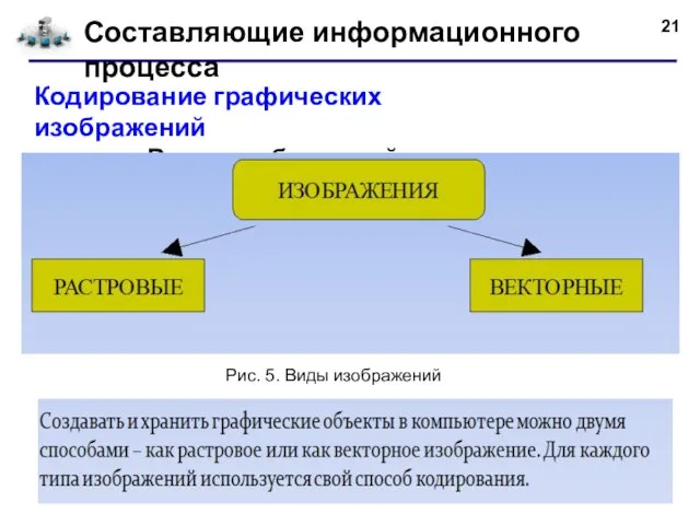 Составляющие информационного процесса Кодирование графических изображений Виды изображений Рис. 5. Виды изображений