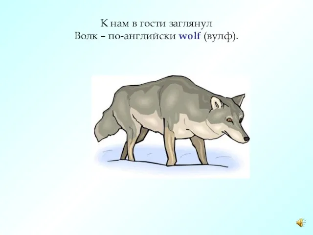 К нам в гости заглянул Волк – по-английски wolf (вулф).