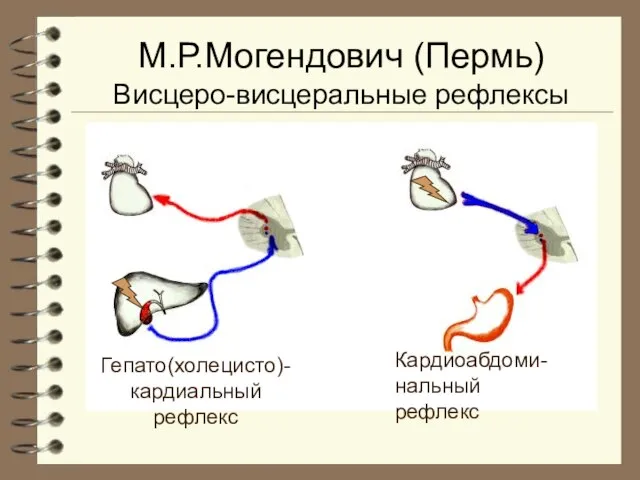 М.Р.Могендович (Пермь) Висцеро-висцеральные рефлексы Гепато(холецисто)- кардиальный рефлекс Кардиоабдоми- нальный рефлекс