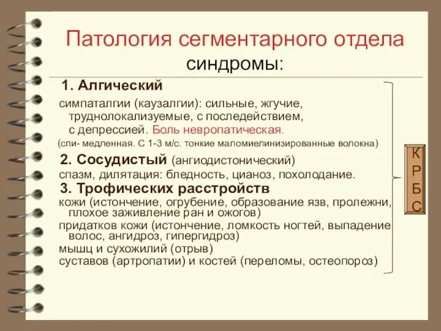 Патология сегментарного отдела синдромы: 1. Алгический симпаталгии (каузалгии): сильные, жгучие, труднолокализуемые,