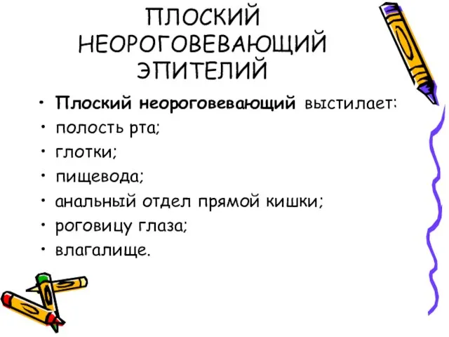 ПЛОСКИЙ НЕОРОГОВЕВАЮЩИЙ ЭПИТЕЛИЙ Плоский неороговевающий выстилает: полость рта; глотки; пищевода; анальный