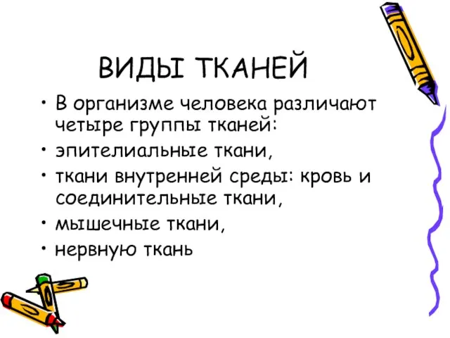 ВИДЫ ТКАНЕЙ В организме человека различают четыре группы тканей: эпителиальные ткани,