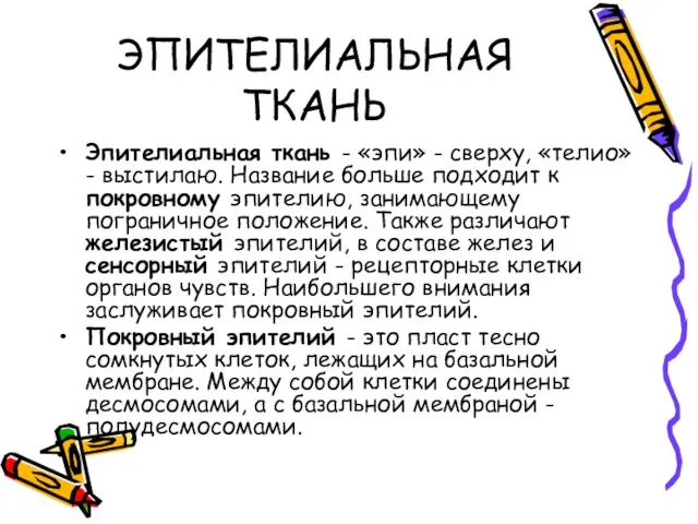 ЭПИТЕЛИАЛЬНАЯ ТКАНЬ Эпителиальная ткань - «эпи» - сверху, «телио» - выстилаю.