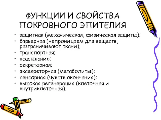 ФУНКЦИИ И СВОЙСТВА ПОКРОВНОГО ЭПИТЕЛИЯ защитная (механическая, физическая защиты); барьерная (непроницаем