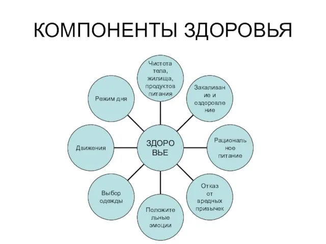 КОМПОНЕНТЫ ЗДОРОВЬЯ