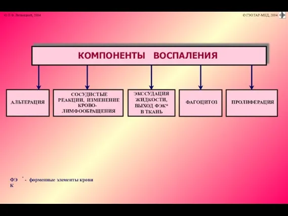 ФЭК * - форменные элементы крови АЛЬТЕРАЦИЯ СОСУДИСТЫЕ РЕАКЦИИ, ИЗМЕНЕНИЕ КРОВО-