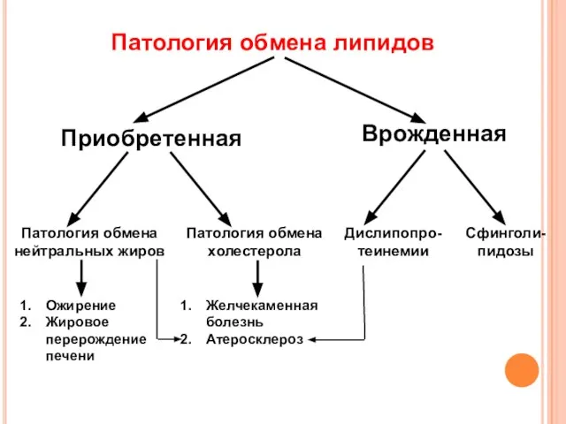 Патология обмена липидов Приобретенная Врожденная Патология обмена нейтральных жиров Патология обмена