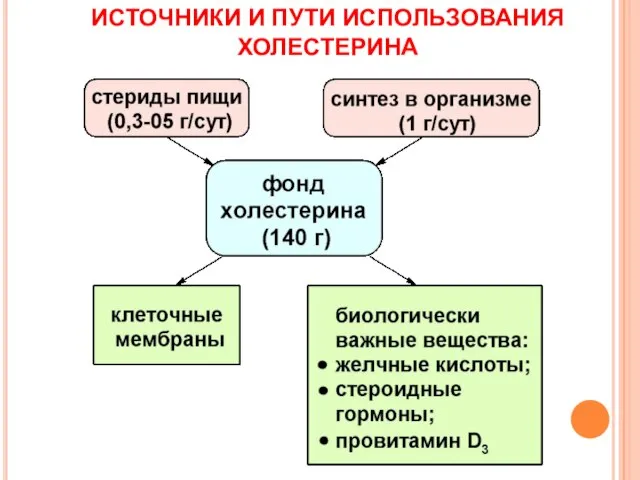 ИСТОЧНИКИ И ПУТИ ИСПОЛЬЗОВАНИЯ ХОЛЕСТЕРИНА