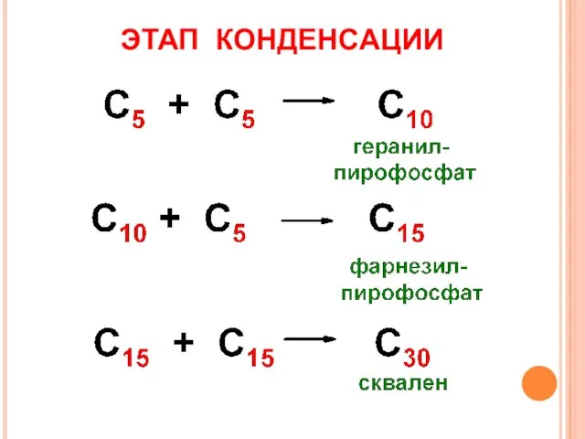 ЭТАП КОНДЕНСАЦИИ