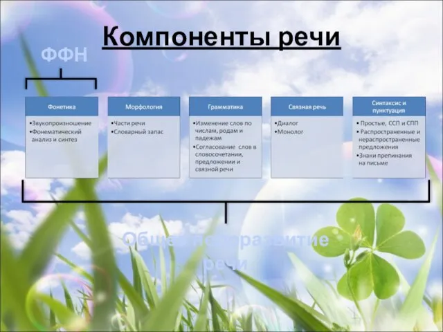 Компоненты речи Общее недоразвитие речи ФФН