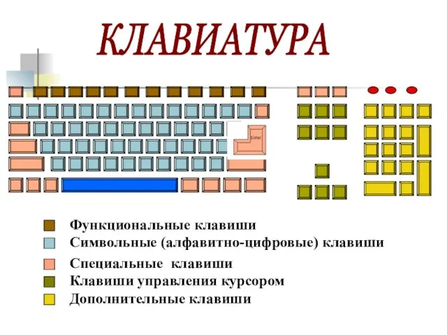 КЛАВИАТУРА Функциональные клавиши Символьные (алфавитно-цифровые) клавиши Специальные клавиши Клавиши управления курсором Дополнительные клавиши