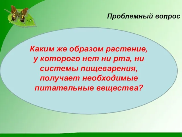 Проблемный вопрос Каким же образом растение, у которого нет ни рта,