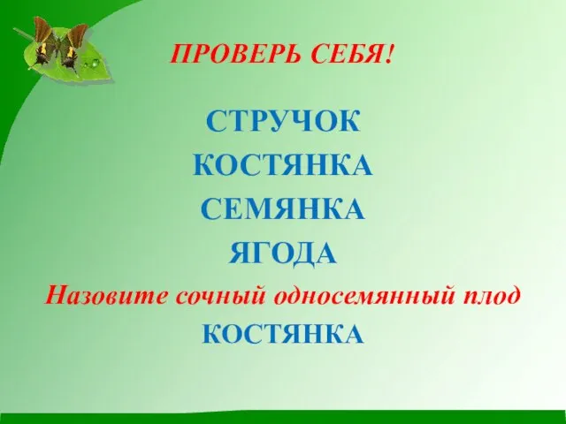 ПРОВЕРЬ СЕБЯ! СТРУЧОК КОСТЯНКА СЕМЯНКА ЯГОДА Назовите сочный односемянный плод КОСТЯНКА