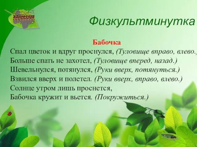 Физкультминутка Бабочка Спал цветок и вдруг проснулся, (Туловище вправо, влево.) Больше