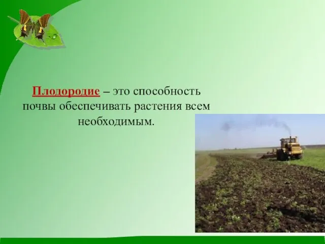 Плодородие – это способность почвы обеспечивать растения всем необходимым.