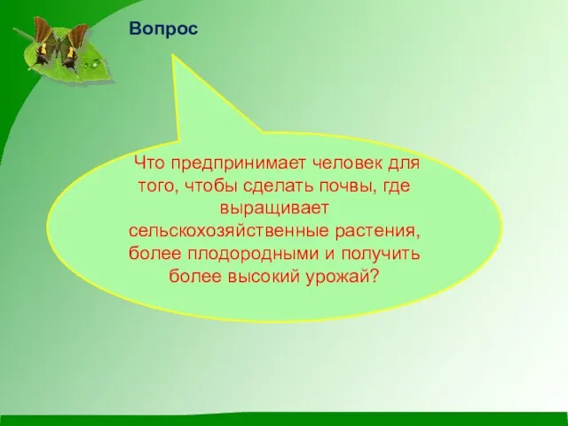 Вопрос Что предпринимает человек для того, чтобы сделать почвы, где выращивает