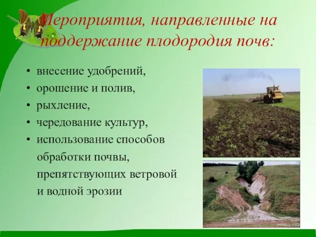 Мероприятия, направленные на поддержание плодородия почв: внесение удобрений, орошение и полив,