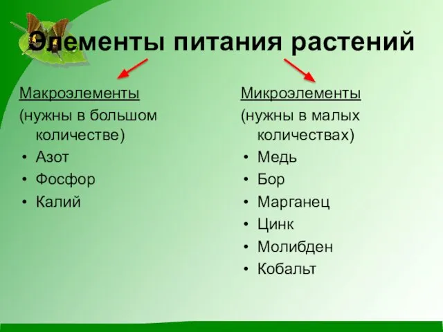 Элементы питания растений Макроэлементы (нужны в большом количестве) Азот Фосфор Калий