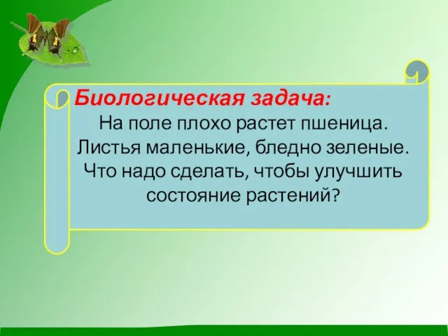 Биологическая задача: На поле плохо растет пшеница. Листья маленькие, бледно зеленые.