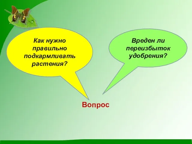 Вреден ли переизбыток удобрения? Как нужно правильно подкармливать растения? Вопрос