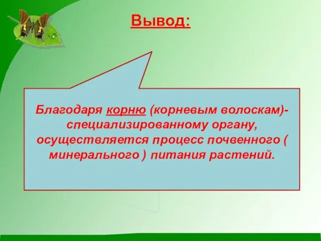 Вывод: Благодаря корню (корневым волоскам)- специализированному органу, осуществляется процесс почвенного ( минерального ) питания растений.