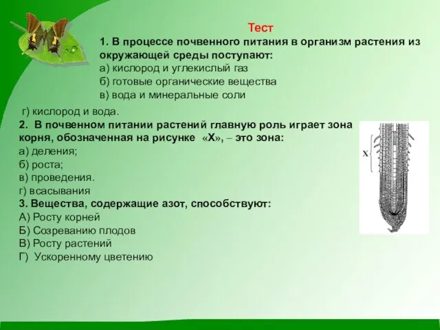 Тест 1. В процессе почвенного питания в организм растения из окружающей