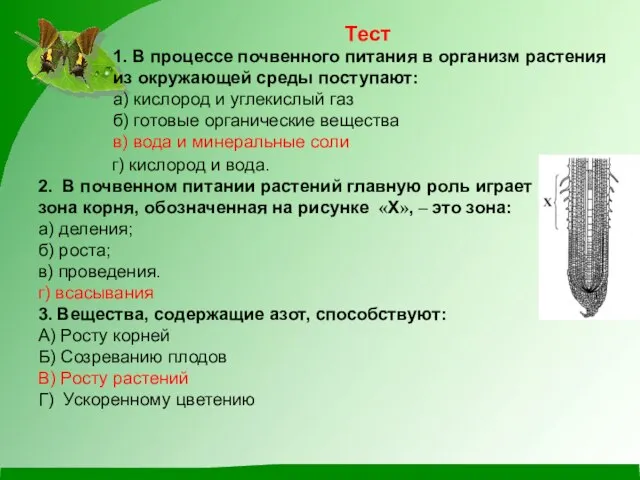 Тест 1. В процессе почвенного питания в организм растения из окружающей