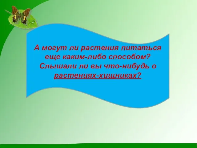 А могут ли растения питаться еще каким-либо способом? Слышали ли вы что-нибудь о растениях-хищниках?