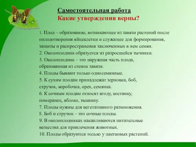 Самостоятельная работа Какие утверждения верны?