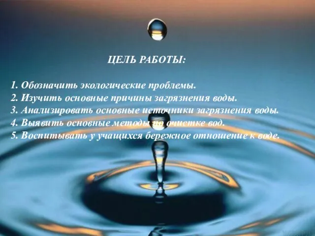 ЦЕЛЬ РАБОТЫ: 1. Обозначить экологические проблемы. 2. Изучить основные причины загрязнения