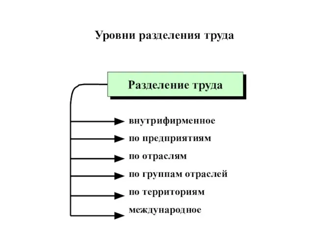 Уровни разделения труда