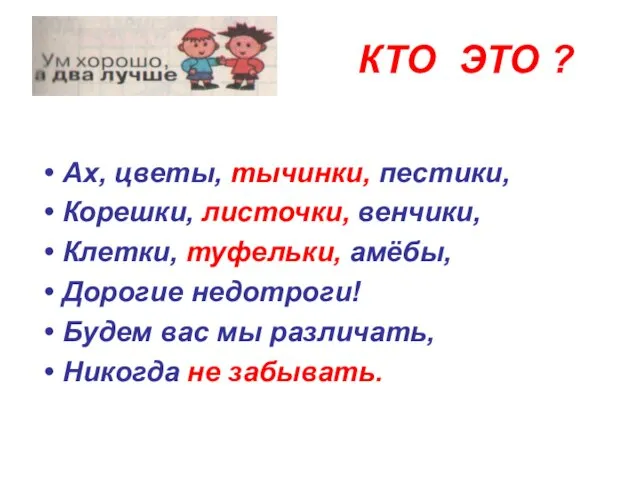 КТО ЭТО ? Ах, цветы, тычинки, пестики, Корешки, листочки, венчики, Клетки,