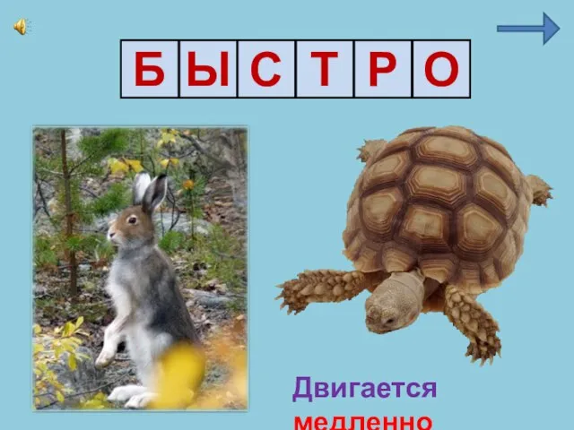 Б Ы С Т Р О Двигается медленно