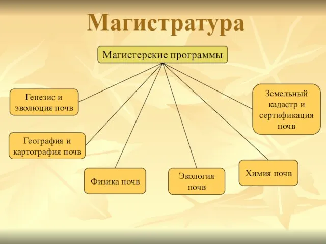 Магистерские программы Генезис и эволюция почв География и картография почв Физика